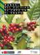 Manual del cultivo de café en el VRAEM.pdf.jpg
