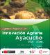 Agenda_Regional_2021-2025_Ayacucho.pdf.jpg