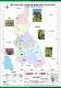 Áreas potenciales para la instalación del Árbol de la Quina Cinchona officinalis L. en el departamento de Cajamarca.pdf.jpg